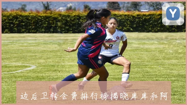 边后卫转会费排行榜揭晓库库和阿什拉夫引领新高峰